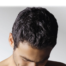 The hair
